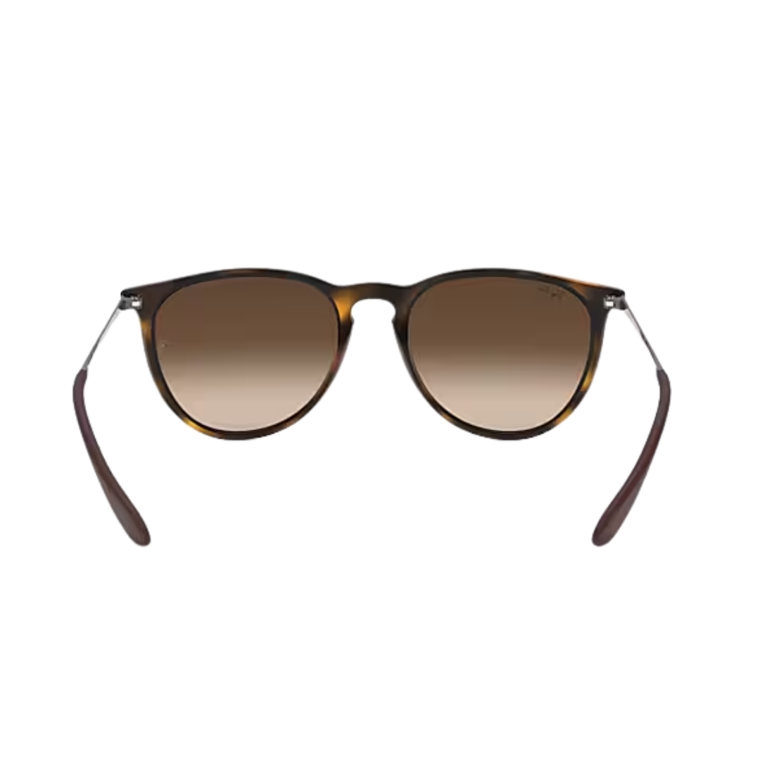 Ray-Ban Unisex Erika Rubber Havana Brown Sunglasses