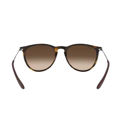 Ray-Ban Unisex Erika Rubber Havana Brown Sunglasses