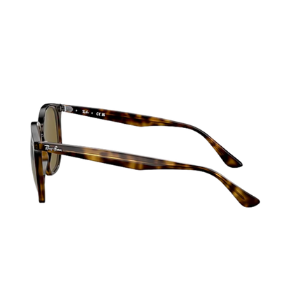 Ray-Ban Unisex Havana Light Dark Brown Sunglasses