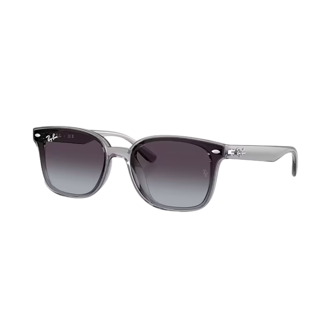 The Boot Jack: Ray-Ban Unisex Transparent Grey Sunglasses