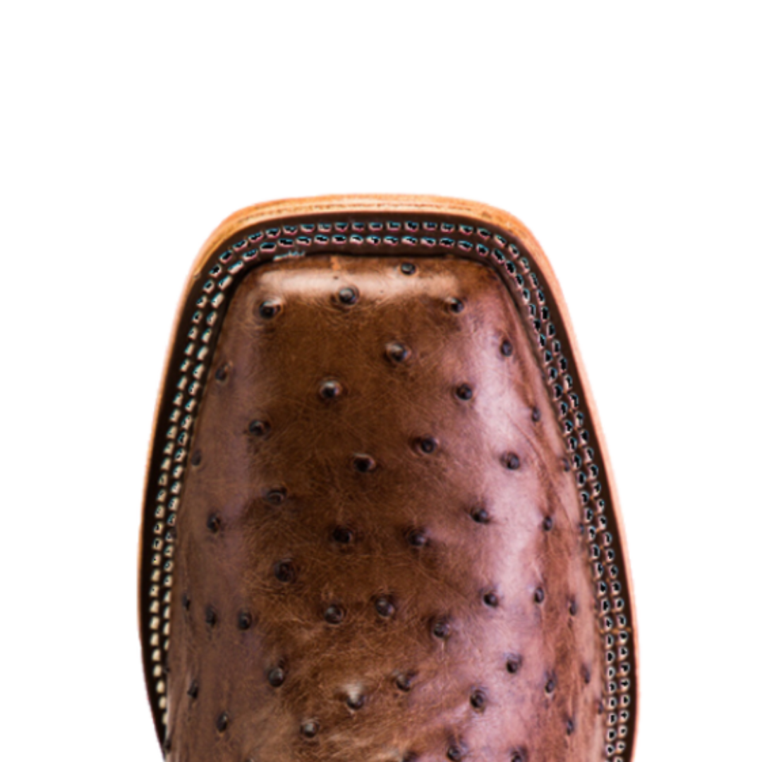 Horse Power Men's Kango Ostrich Brown Boots