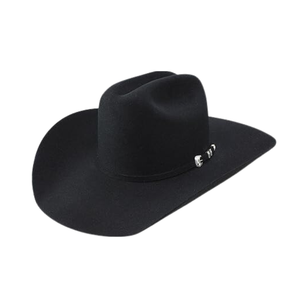 Resistol Pure Men's 100X Beaver Felt Cowboy Black Hat