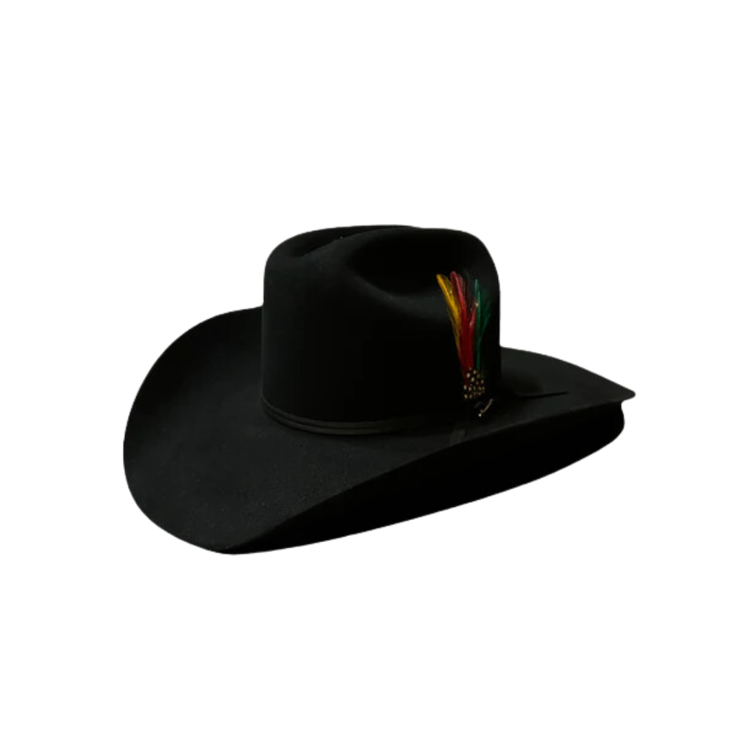 Stetson Men's Roper 6x Felt Black Hat
