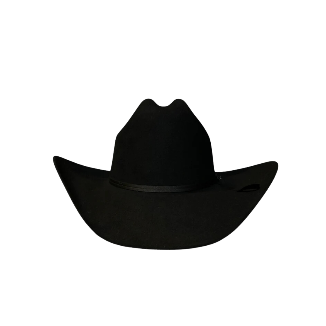 Stetson Men's Roper 6x Felt Black Hat