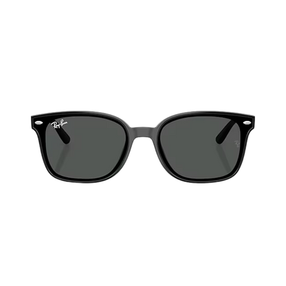 Ray-Ban Unisex Dark Grey Sunglasses