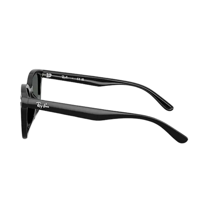 Ray-Ban Unisex Dark Grey Sunglasses