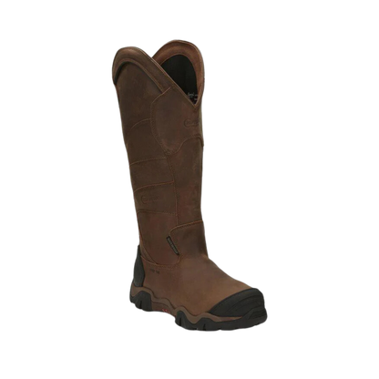 Chippewa snake boots near me sales