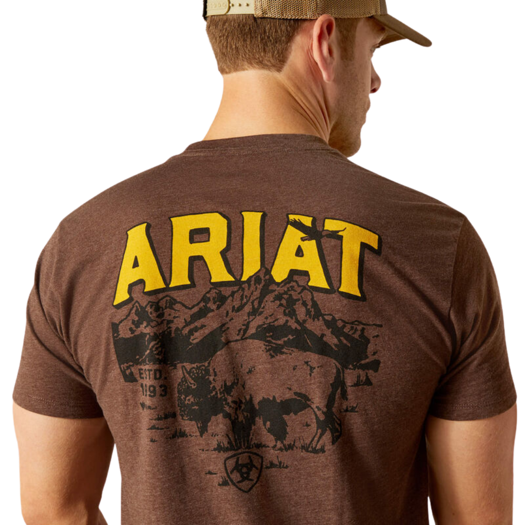 Ariat Men's Bison Sketch Brown T-Shirt - XS