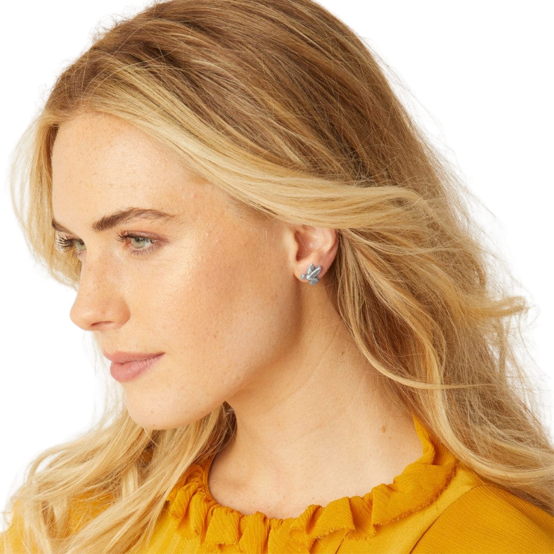 Brighton Women's Hummingbird Mini Post Grey Earrings