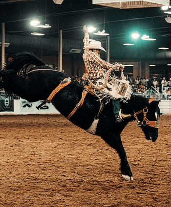 Black jack sales boots for sale