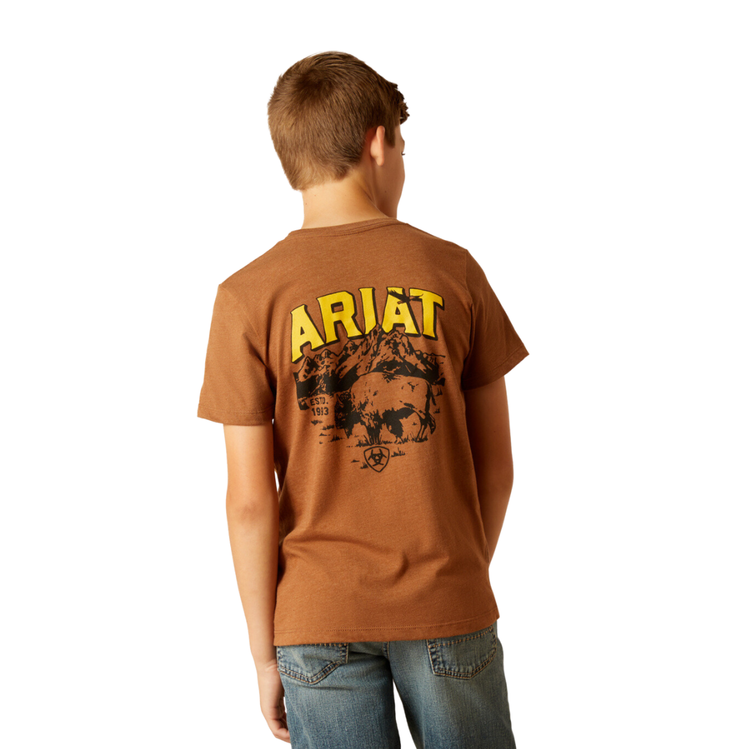 Ariat Youth Boy's Bison Sketch Shield Cinnamon Brown Shirt