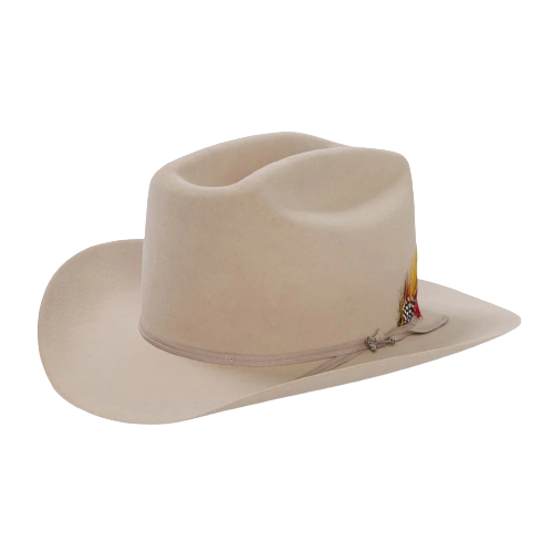 Stetson Hats Women's Range 6x Cowboy Hat