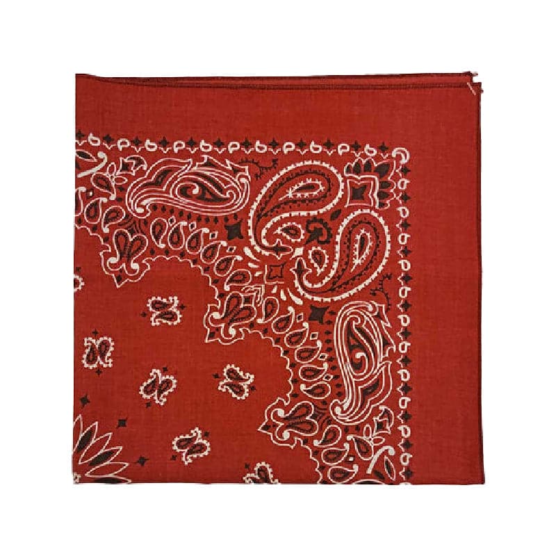 Austin Accent Red Mexican Pattern Bandana