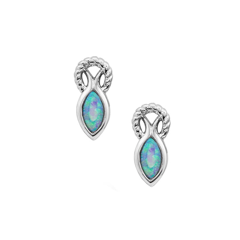 Montana Silversmiths Women's Rooted Opal Silver Turquoise Earrings